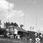 061 Turbenmoos-1986 (6)